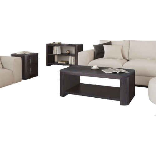 Janzen 3 Piece Coffee Table Set in Espresso Brown Wood